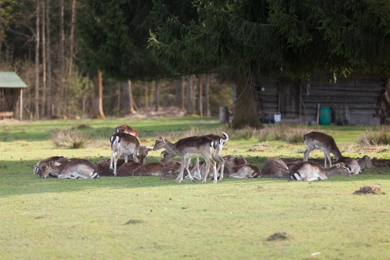 ホテル Forsthaus Woernbrunn グリューンヴァルト エクステリア 写真